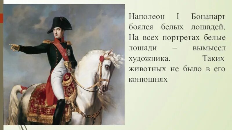 В каком городе наполеон. Наполеон боялся белых лошадей. наполеон бонапарт боитс. наполеон бонапарт боялся кошек. фобии наполеона бонапарта.