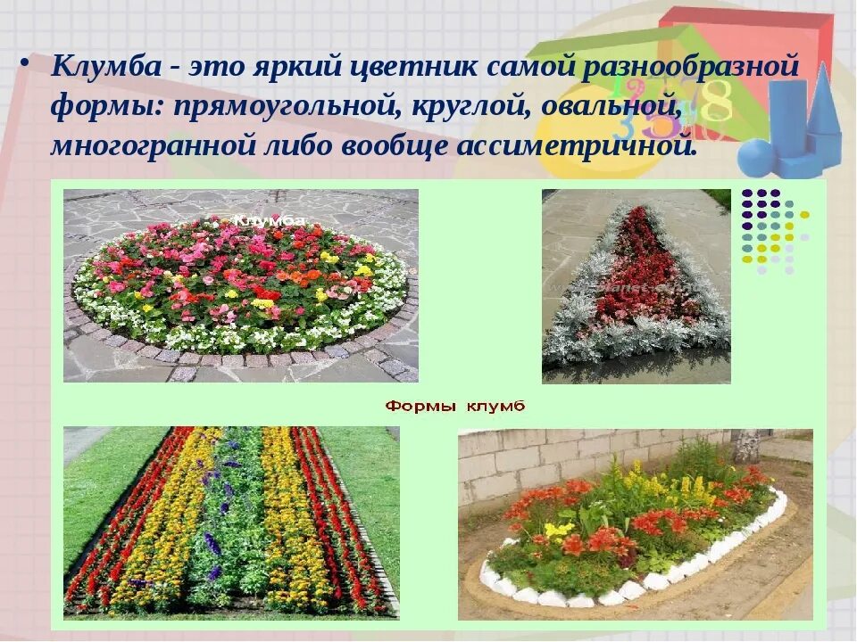 Длина клумбы прямоугольной формы