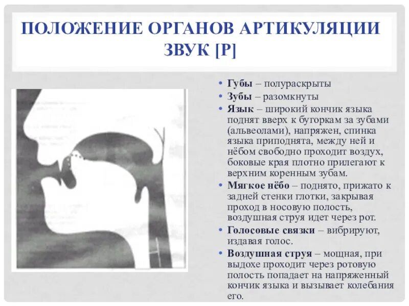 Расстройство речевой артикуляции. Артикуляция звука р. Положение органов артикуляции. Звук р органы артикуляции. Звук с положение органов артикуляции.