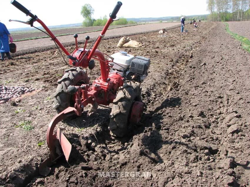 Посадка картофеля под плуг. Картошка под плуг. Плуг для посадки картофеля. Посадка картошки под плуг. Посадка картофеля мотоблоком с плугом.