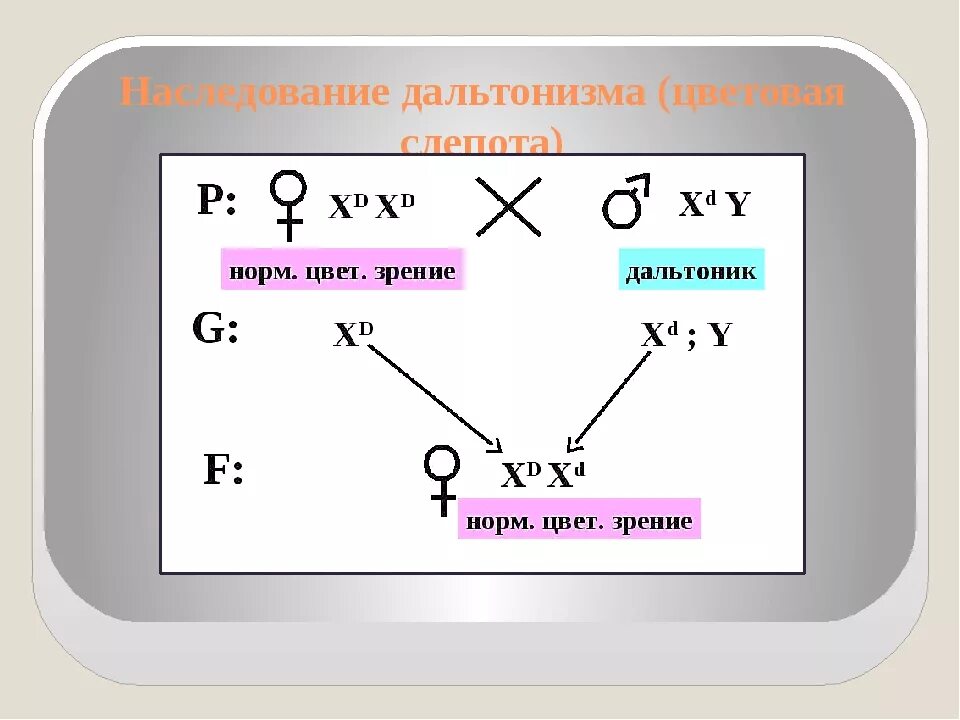 Наследование далтонизм. Наследственностьгена тждальтонизма. Генетическая задача на дальтонизм. Дальтонизм генетика. Классическая гемофилия и дальтонизм наследуются