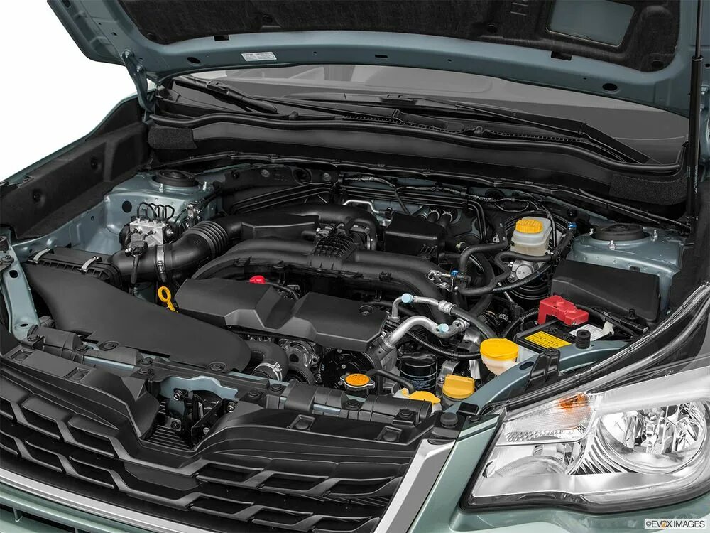 Субару форестер расположение двигателя Отзывная кампания. Итоги. Subaru Forester (SH), 2 л, 2012 года визит на сервис
