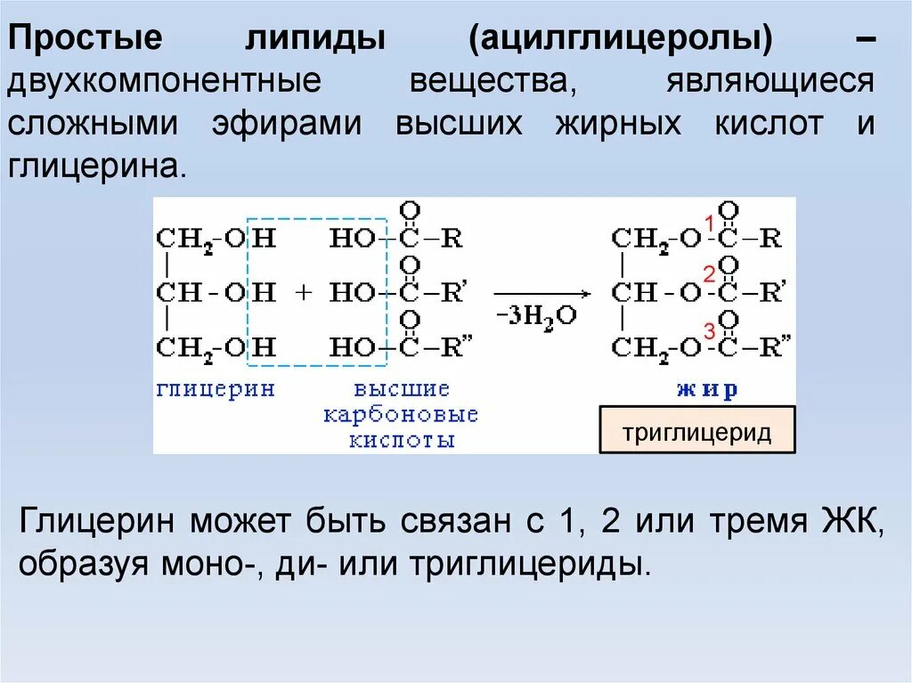 В состав жиров входят химические элементы