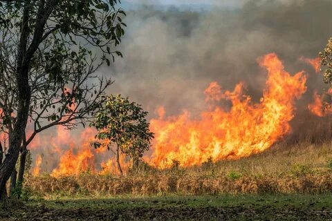Bad fire