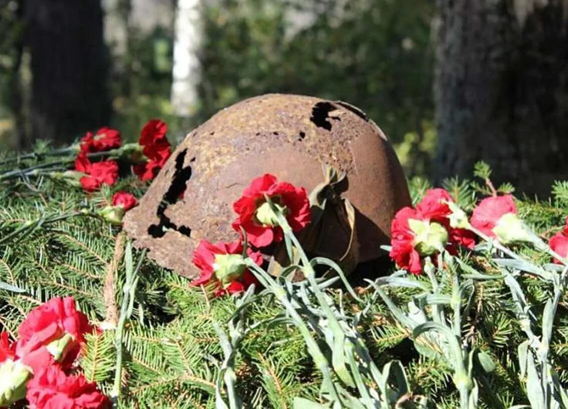 Цветы и каска солдата. Каска солдата Великой Отечественной войны. Розыск родственников погибшего солдата. Разыскиваются родственники участника ВОВ.