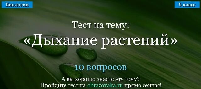 Биология 6 класс контрольная работа дыхание растений