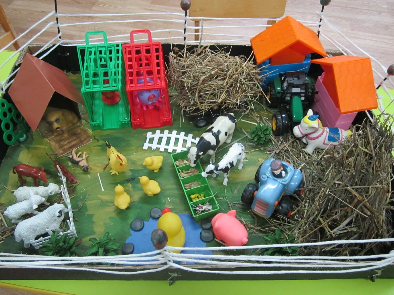 Музей мини животных. Мини музей дикие животные. Мини музей дикие животные. Мини музей домашние животные. Мини музей домашних животных в детском саду.