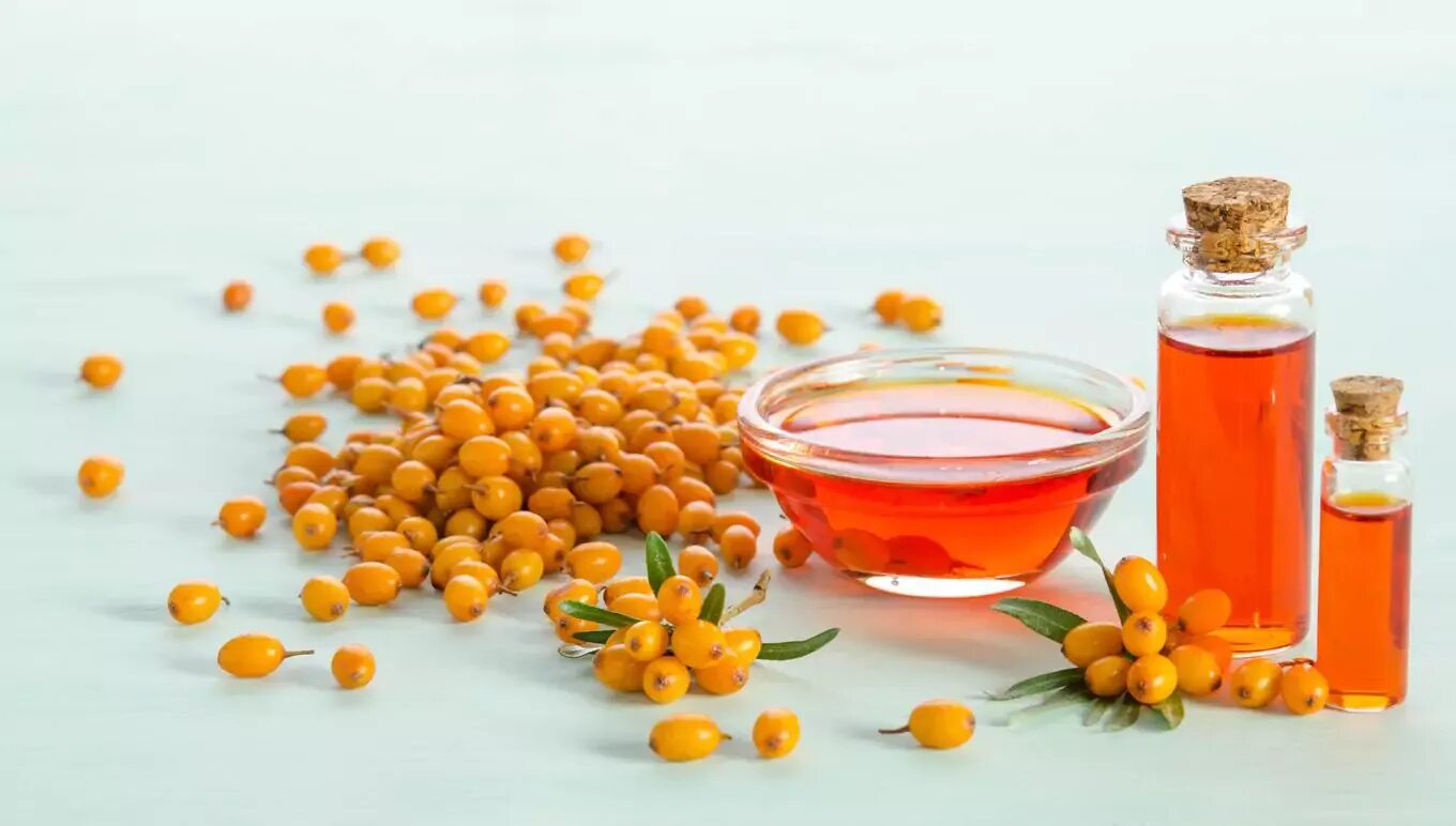 Sea Buckthorn облепиха что это. Каротиноиды облепихи. Облепиховое масло. Масло из облепихи. Молочница облепиховое