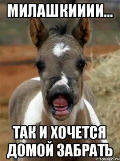 Песня а я хочу домой