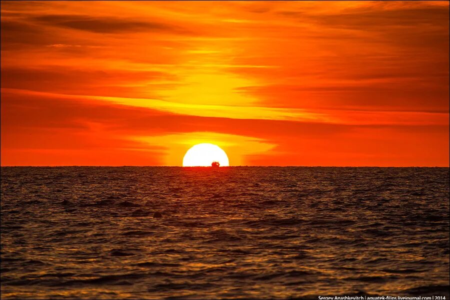 багряный диск солнца тонет в огненном. багряный диск солнца тонет в огненном. кровавый закат. багряный диск солнца тонет в огненном. оранжевый закат мияги.
