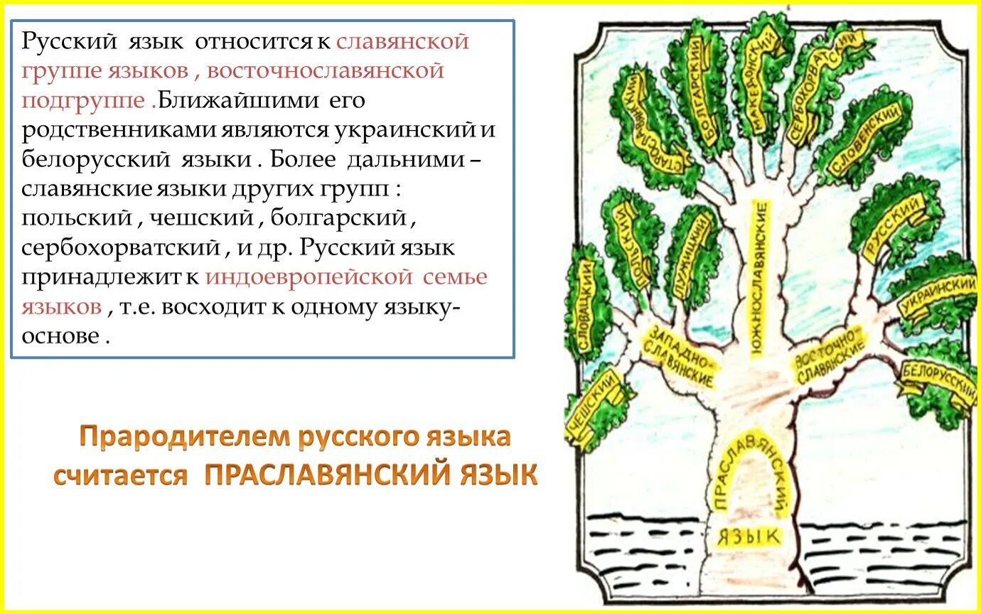 Славянская группа языков. Предок славянских языков. Родство славянских языков. Славянские языки принадлежат к индоевропейской семье.