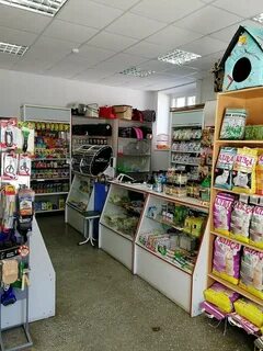 Ветклиника на коммунистическом ростов