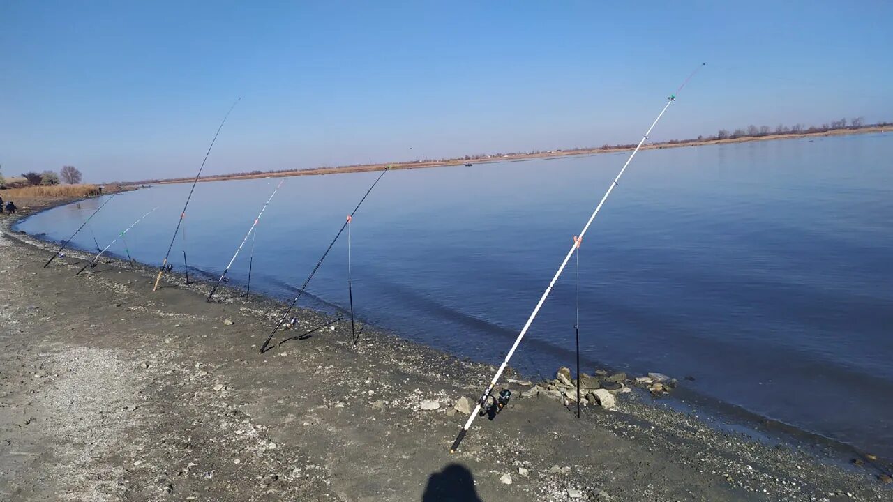 Рыбалка в белгородской области 2024