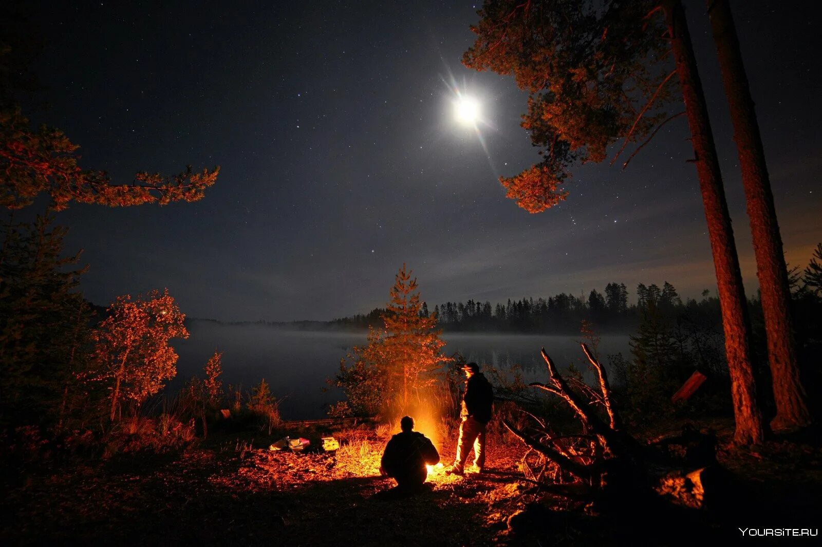 Мы стояли в лесу ночью. Вечер костер природа. Прогулка по лесу ночью. Пара в темном лесу. Ночной костер в лесу.