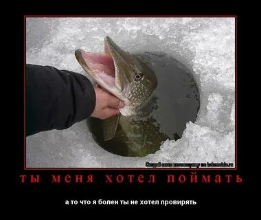 Отпустил рыбу
