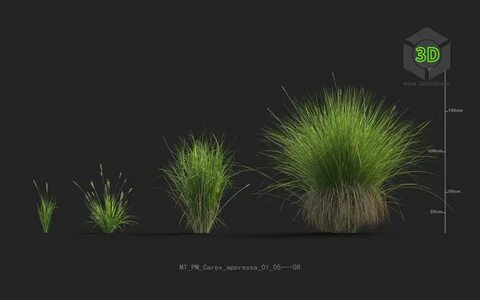 Model plant vol