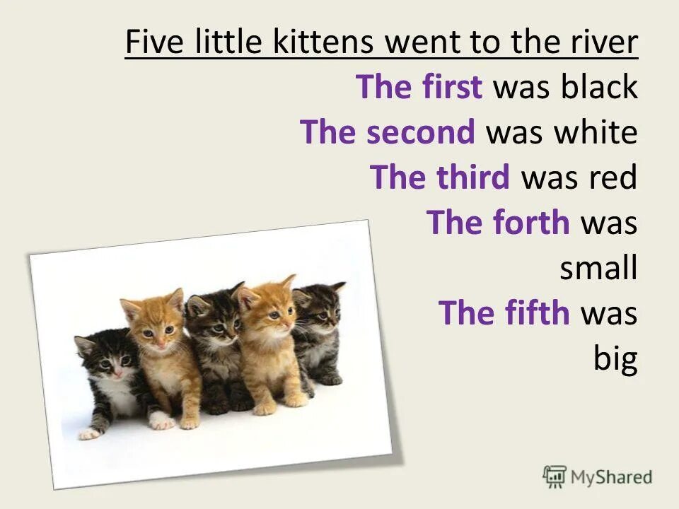 Three little kittens. Three little kittens стих. стихотворение про котенка на английском. Little kittens перевод. Three little kittens they lost their mittens.