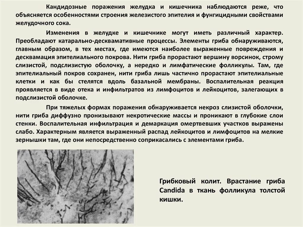 Кандидозный у мужчин лечение. Грибковая инфекция в кишечнике. Грибковые поражения ЖКТ. Кандидозное поражение кишечника. Кандидоз кишечника лекарство.