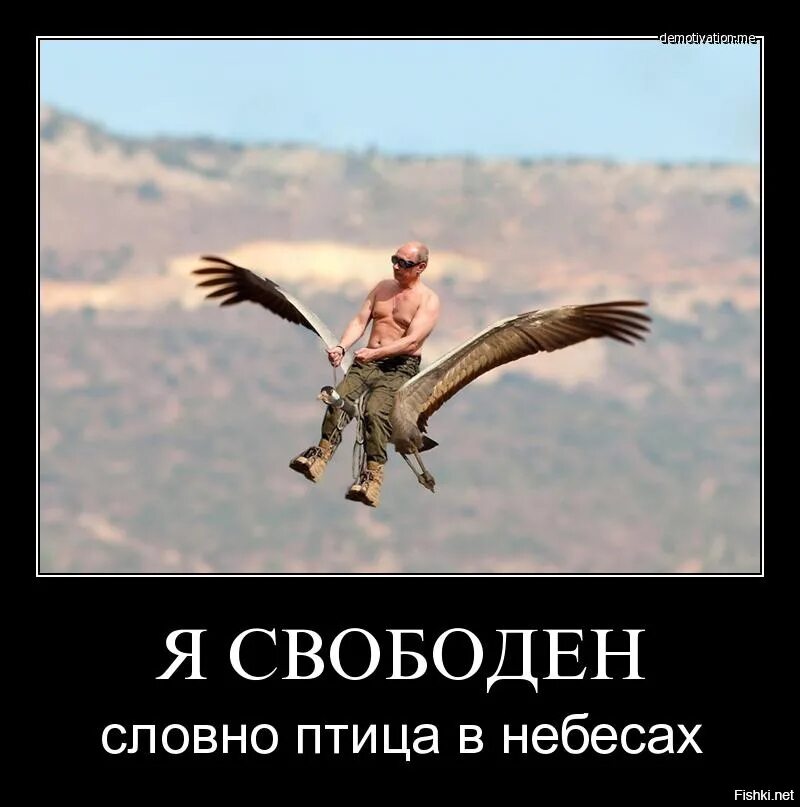 Не пнешь не полетит. Турук Макто. Птица свободы. Я свободен словно птица в небесах. Свободна как птица.