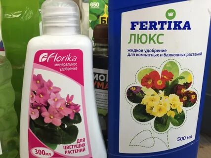 Подкормка пеларгонии для обильного
