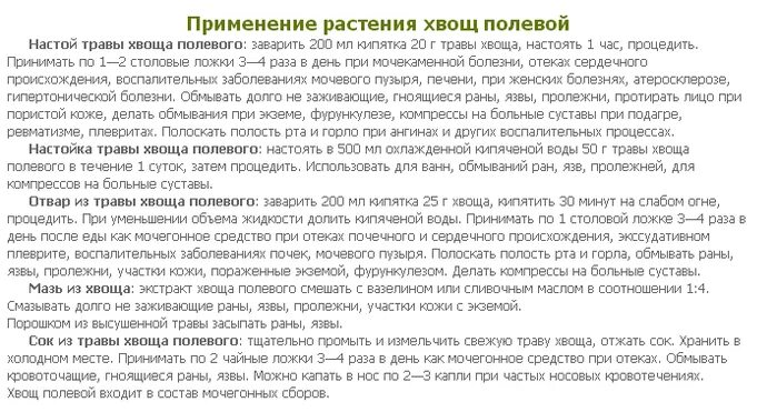 Трава хвоща инструкция по применению. Настой хвоща полевого. как заваривать хвощ полевой. хвощ полевой при подагре. отвар полевого хвоща плюсы и минусы.