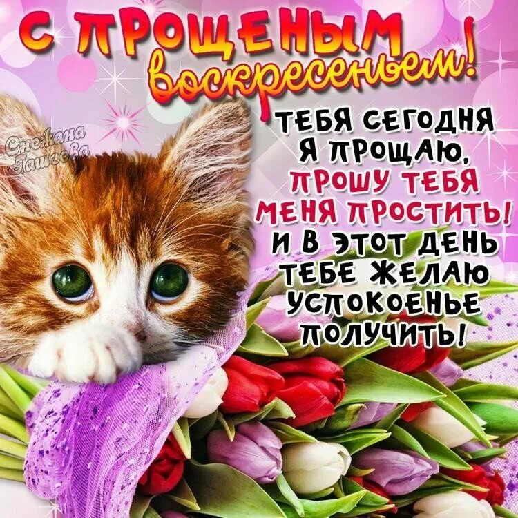 Можно ли мыться в прощенное воскресенье. С прощенным воскресеньем. прощенное воскресенье поздравления. открытка спрощённым воскресеньем. открытки с прощенным воскре.