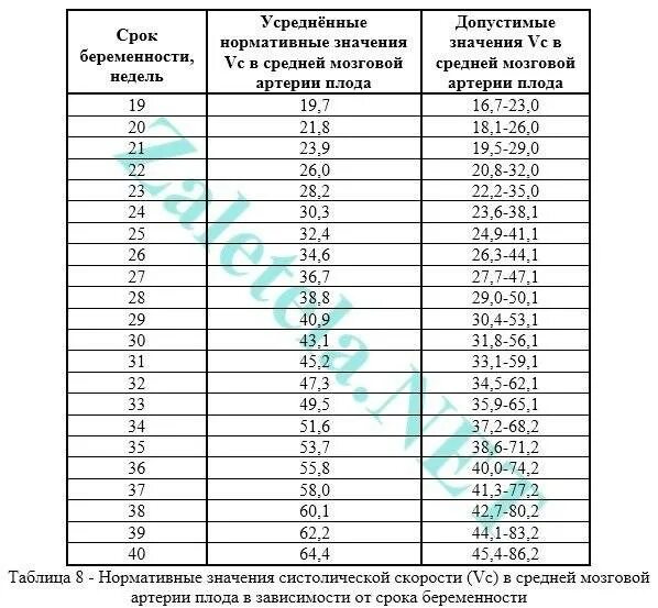 34 недели беременности это сколько. Средняя мозговая артерия допплер норма. Норма средней мозговой артерии плода 32 недели. Нормы допплерометрии плода. Средняя мозговая артерия плода допплер норма.