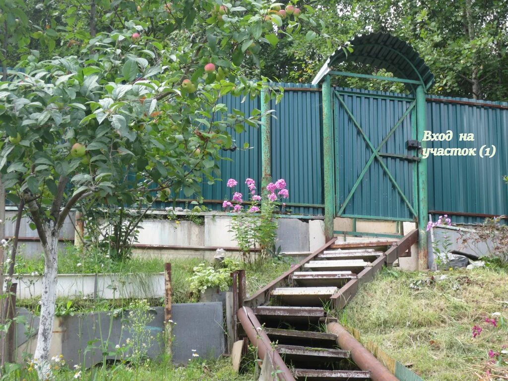 Дача в снт ант раздольное новосибирск. Красивая дача в новосибирске. Пятигорск снт медик. Дом 50 этажей. Псковская об снт медик.