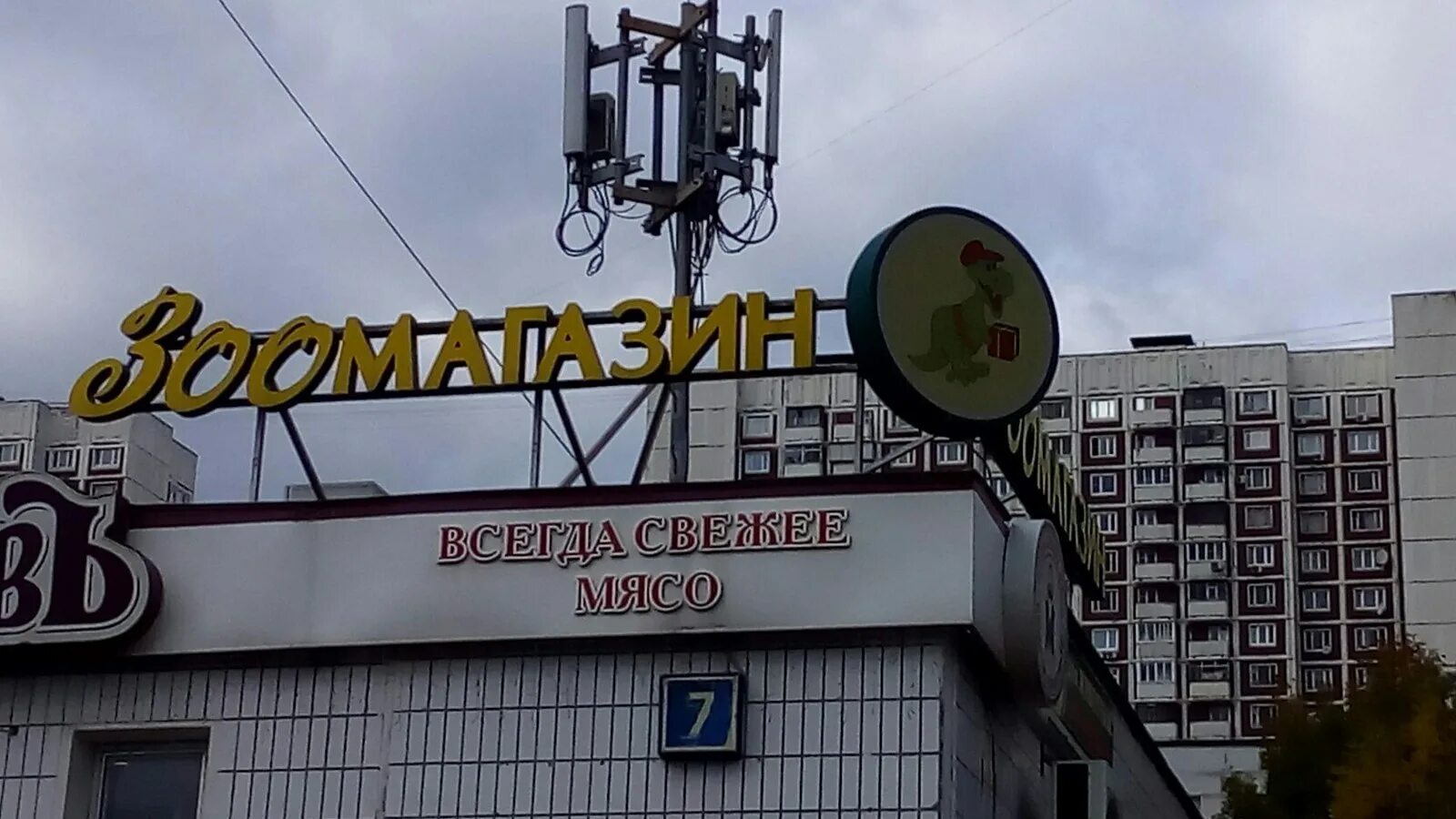 Прикольное название фото