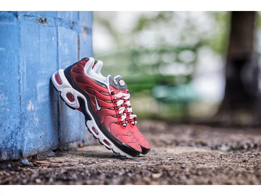 Кроссовки найк аир плюс. Nike Air Max Plus. Nike Air Max Plus 3. Nike кроссовки Air Max Plus. Nike Air Max Plus 2.