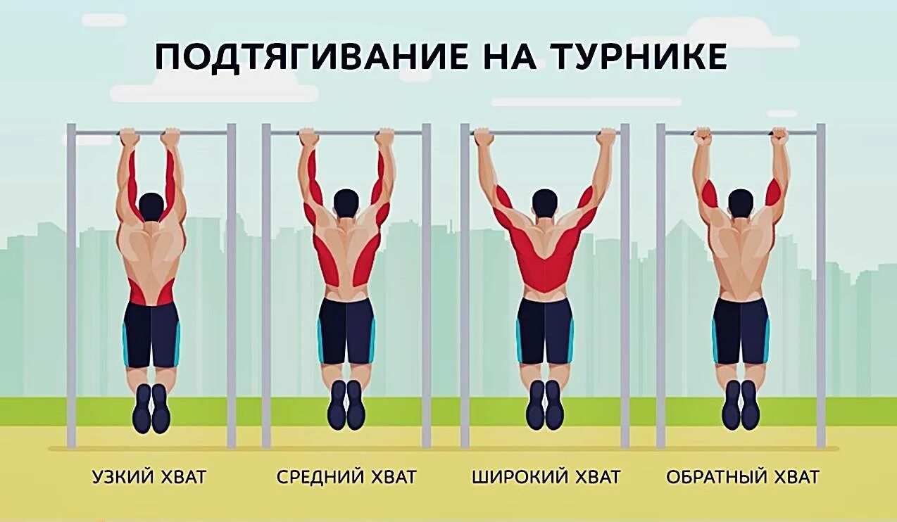 Какие мышцы качаются на турнике