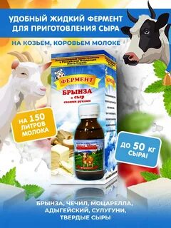 Фермент для сыра что это