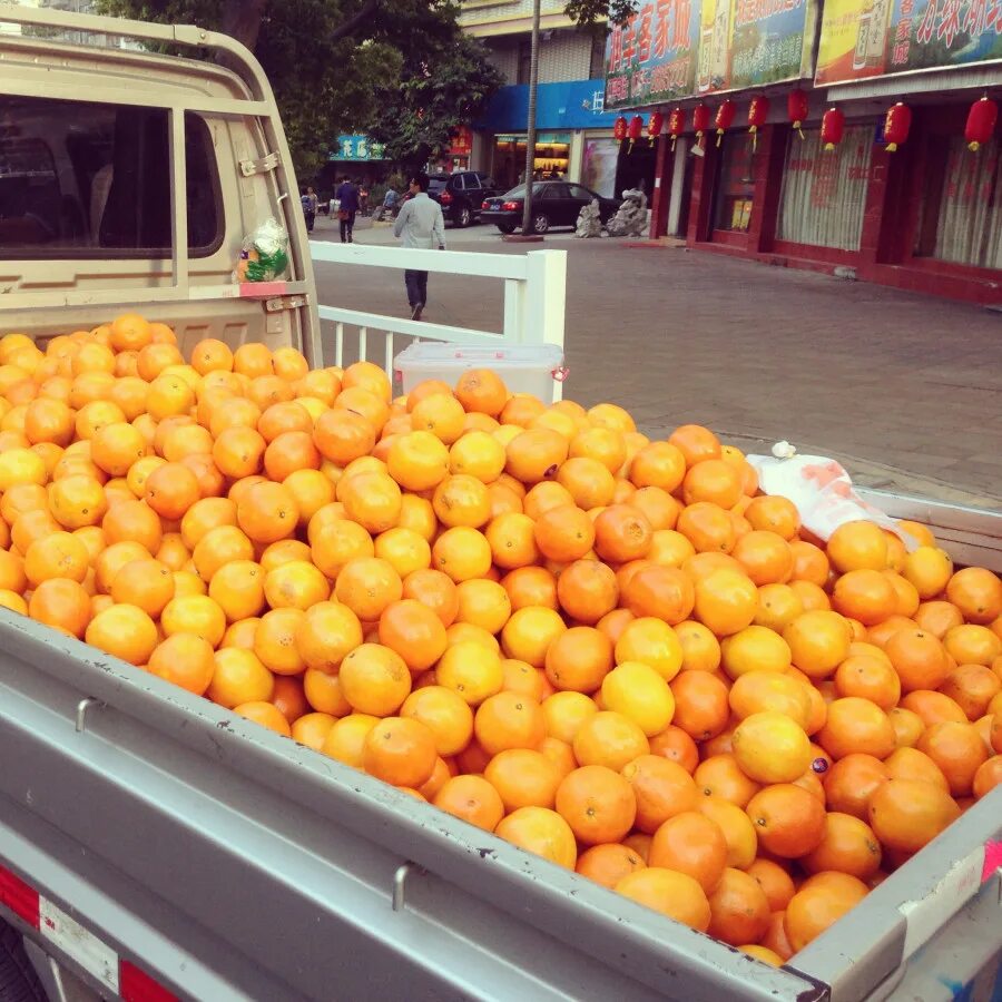 гора апельсинов. худший поступок гора апельсинов. апельсины горка. гора мандаринов. машина с мандаринами.