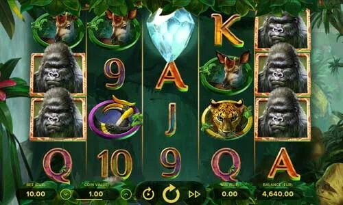 Горилла casino gorilla vad1. Казино Gorilla. Игровой аппарат горилла с кокосами название. Игровой аппарат горилла с бонусом три кокоса. Gorilla Kingdom Bonus.