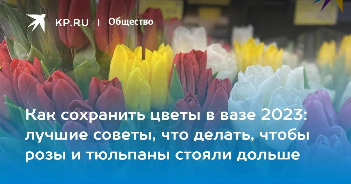 Как сохранить цветы надолго