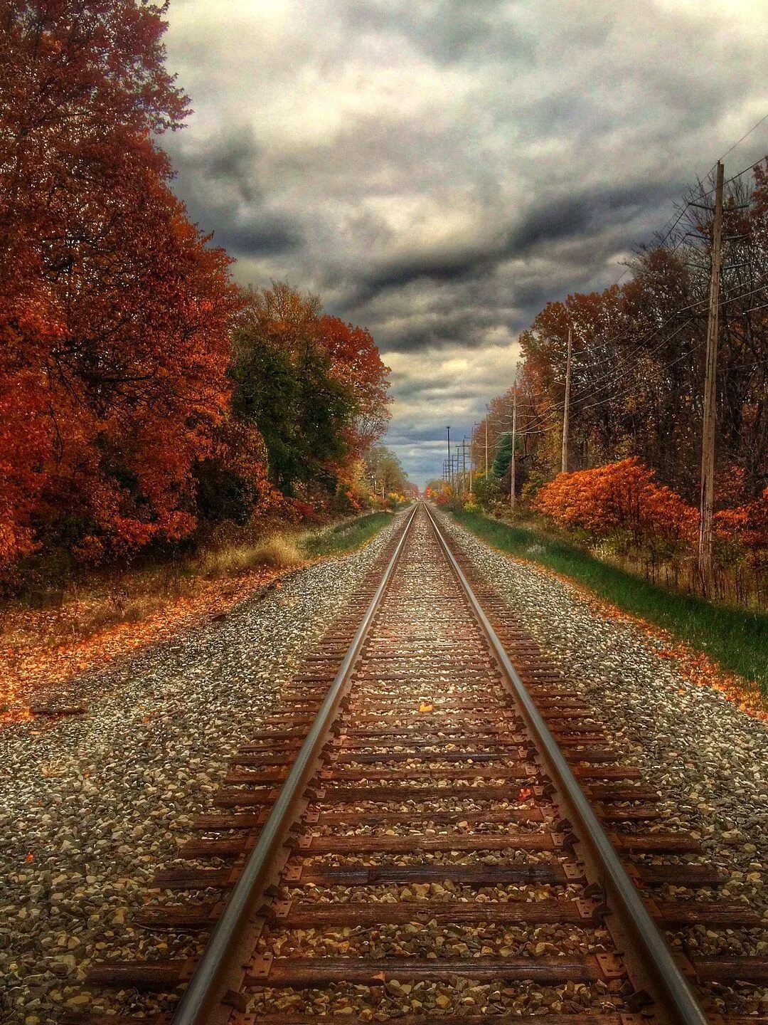 Уходящая железная дорога. Пейзаж с железной дорогой. Железная дорога осень. Железная дорога уходящая вдаль. Красивый пейзаж с железной дорогой.