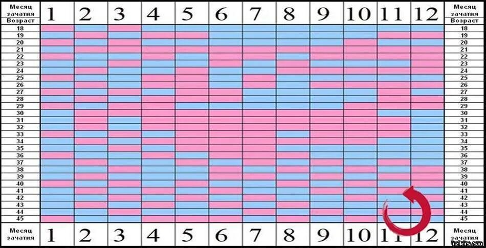 Зачатие ребёнка по овуляции. Зачатие девочки по овуляции. Календарь зачатия девочки по овуляции. Зачатие мальчика по овуляции. Как высчитать овуляцию после