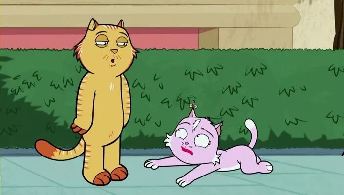 катастрофа 2 про кота. катастрофа 2 про кота. котики апокалипсиса. непотопляемый сэм на бисмарке. кот оскар непотопляемый.