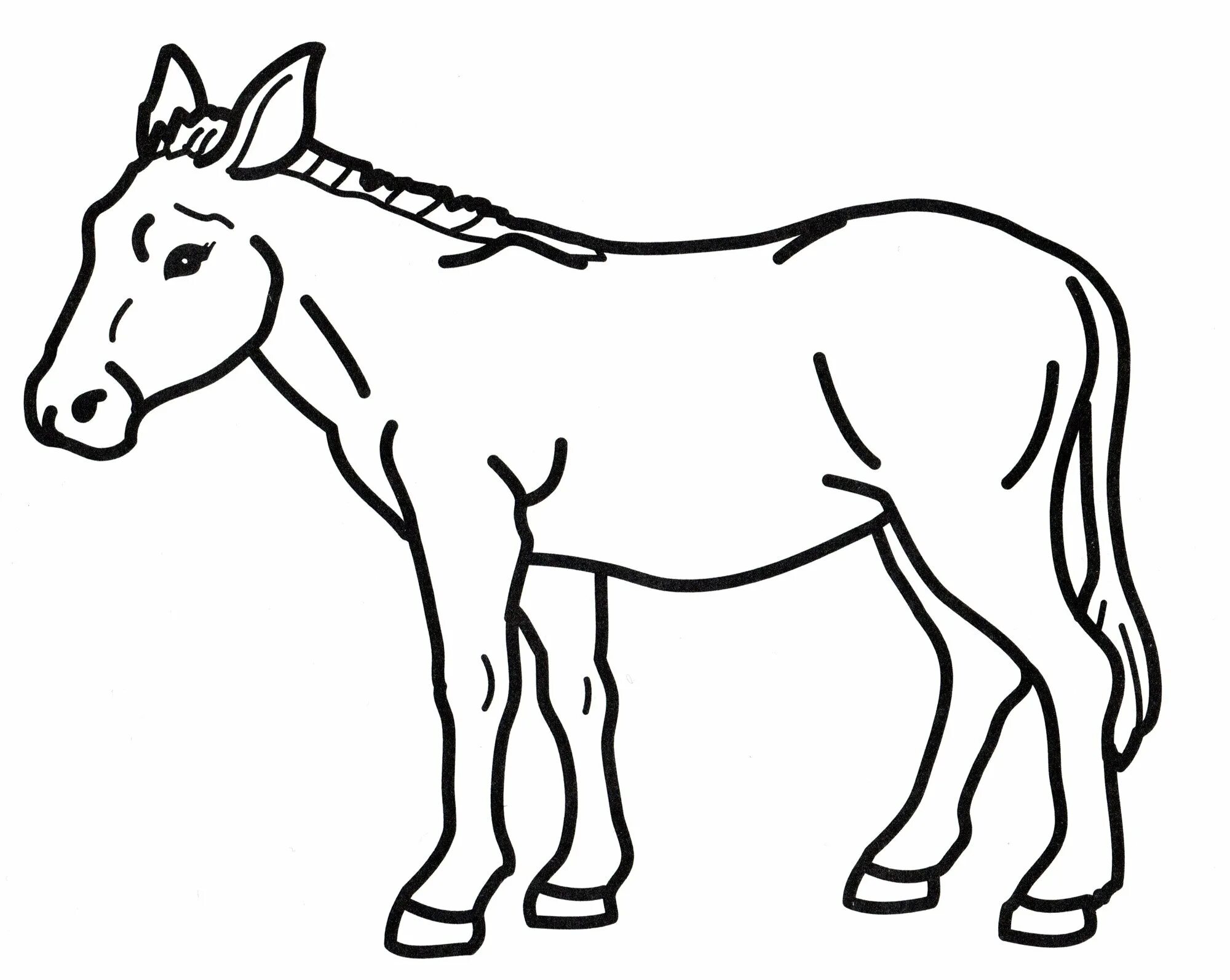 Ослик раскраска для детей распечатать Mexican Donkey, : Mexican Donkey on a Sunny Day Coloring Pages Animais para colo