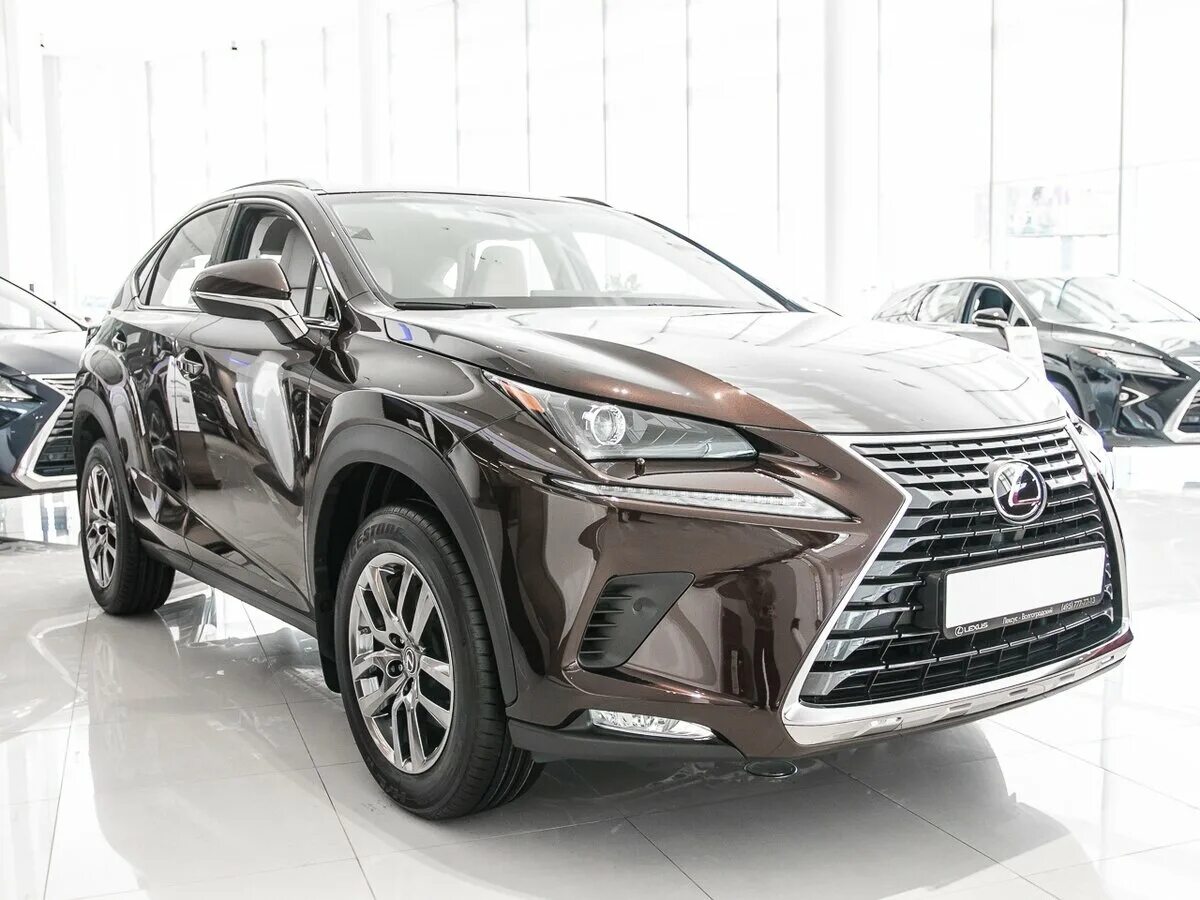 Lexus nx200 2020. Лексус нх200 новый. Тойота лексус нх200. Lexus nx 200. Лексус nx 200 белый.