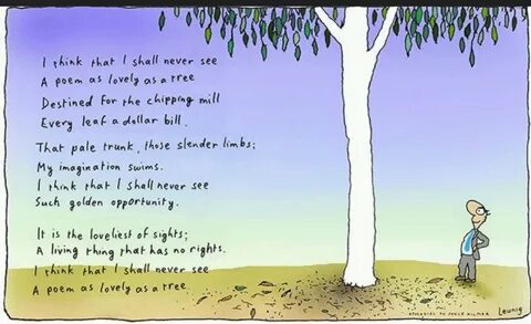 Poetry environment