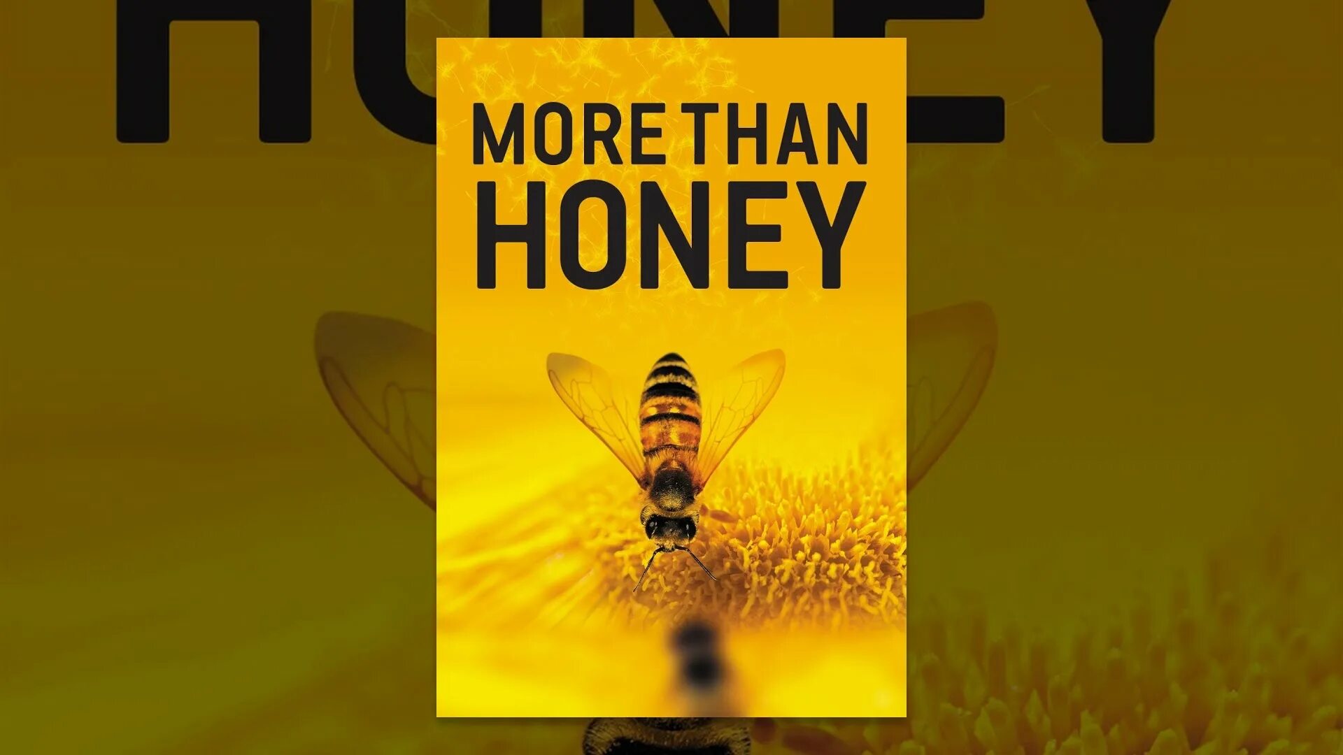 Much honey. More than Honey.