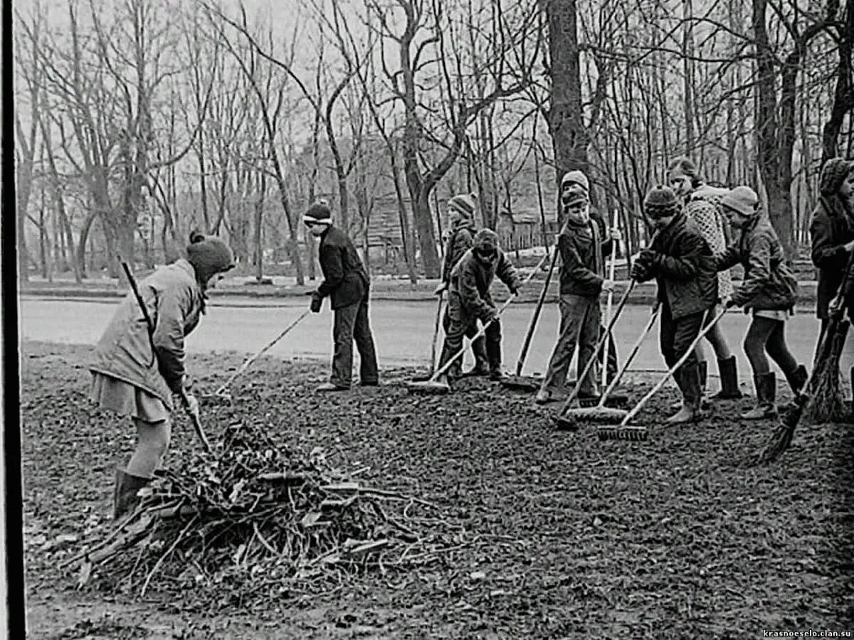 Субботник движения первых. Субботник 1919 москва сортировочная. советские пионеры на субботнике.