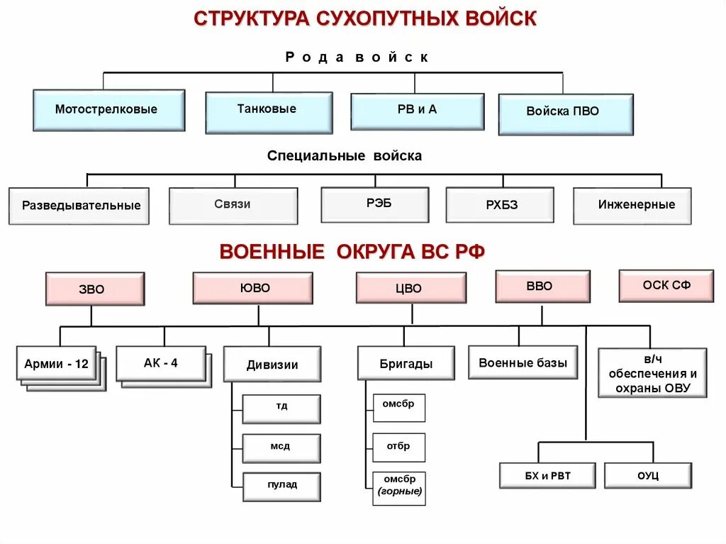 Родами сухопутных войск являются. Организационная структура сухопутных войск вс РФ. Структура св св Сухопутные войска. Состав сухопутных войск РФ схема. Сухопутные войска вс РФ структура.