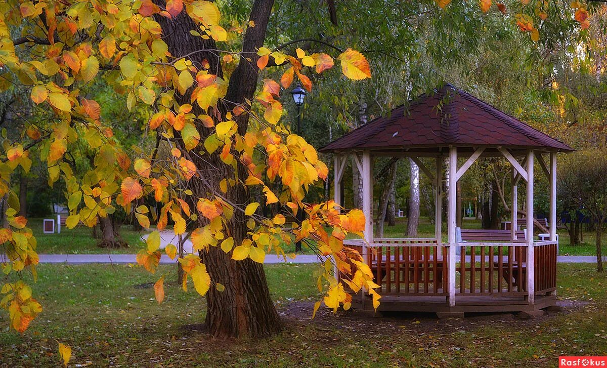 Осенняя беседка. Осенний сад с беседкой. Сад беседка осень. Беседка в осеннем парке. Хорошо в беседке в осеннюю ночь вариант