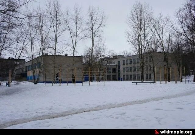 Школа 4 череповец. 24 школа череповец. школа 28 череповец. школа 27 череповец. учителя школы 24 череповец.