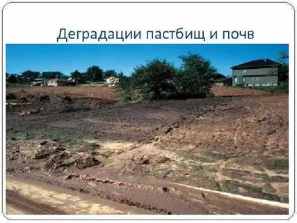 Деградированные земли это