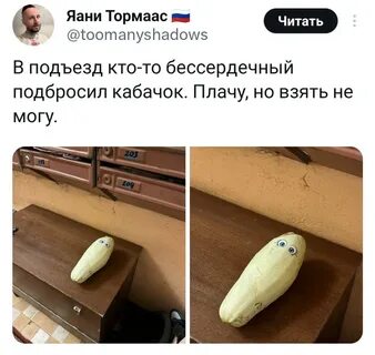 Мемы про кабачки