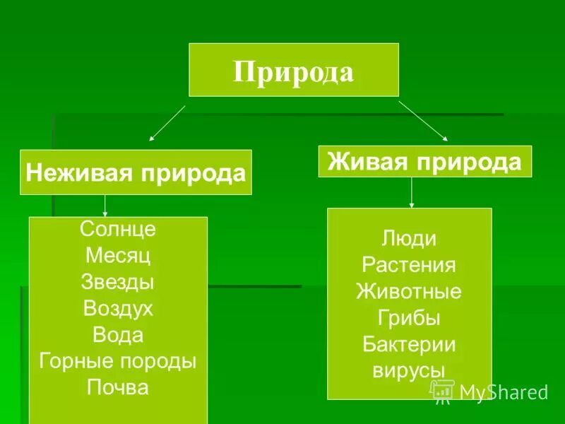 Переход питательных элементов от неживой природы. Живая или не жива природа. Микробы это Живая или неживая природа. Объекты живой природы растения. Корешки Живая или неживая природа.