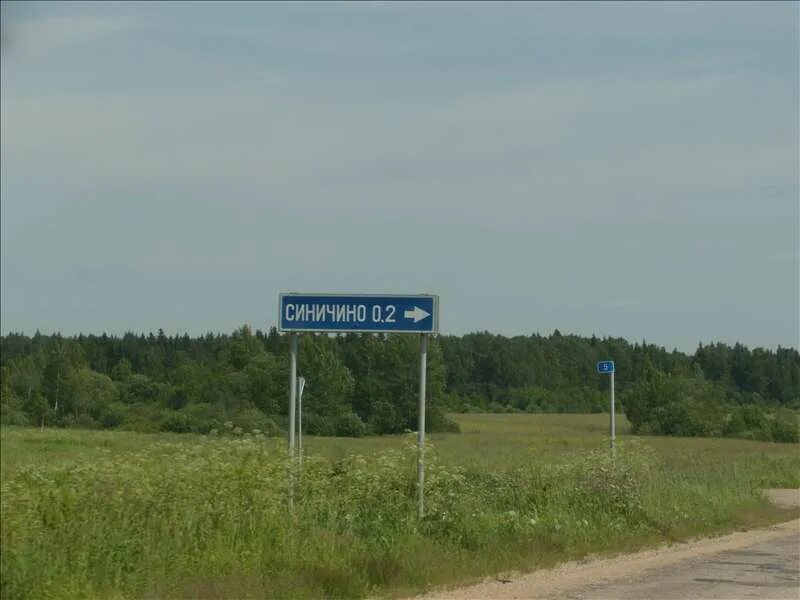 Погода синичино можайского. Погода синичино можайского. Погода синичино можайского. Погода синичино. Станция маево псковская область.